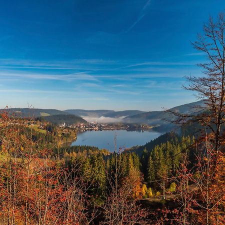 Ferienhaus Schwarzwaldstern, Todtnau, 3 Schlafzimmer ภายนอก รูปภาพ