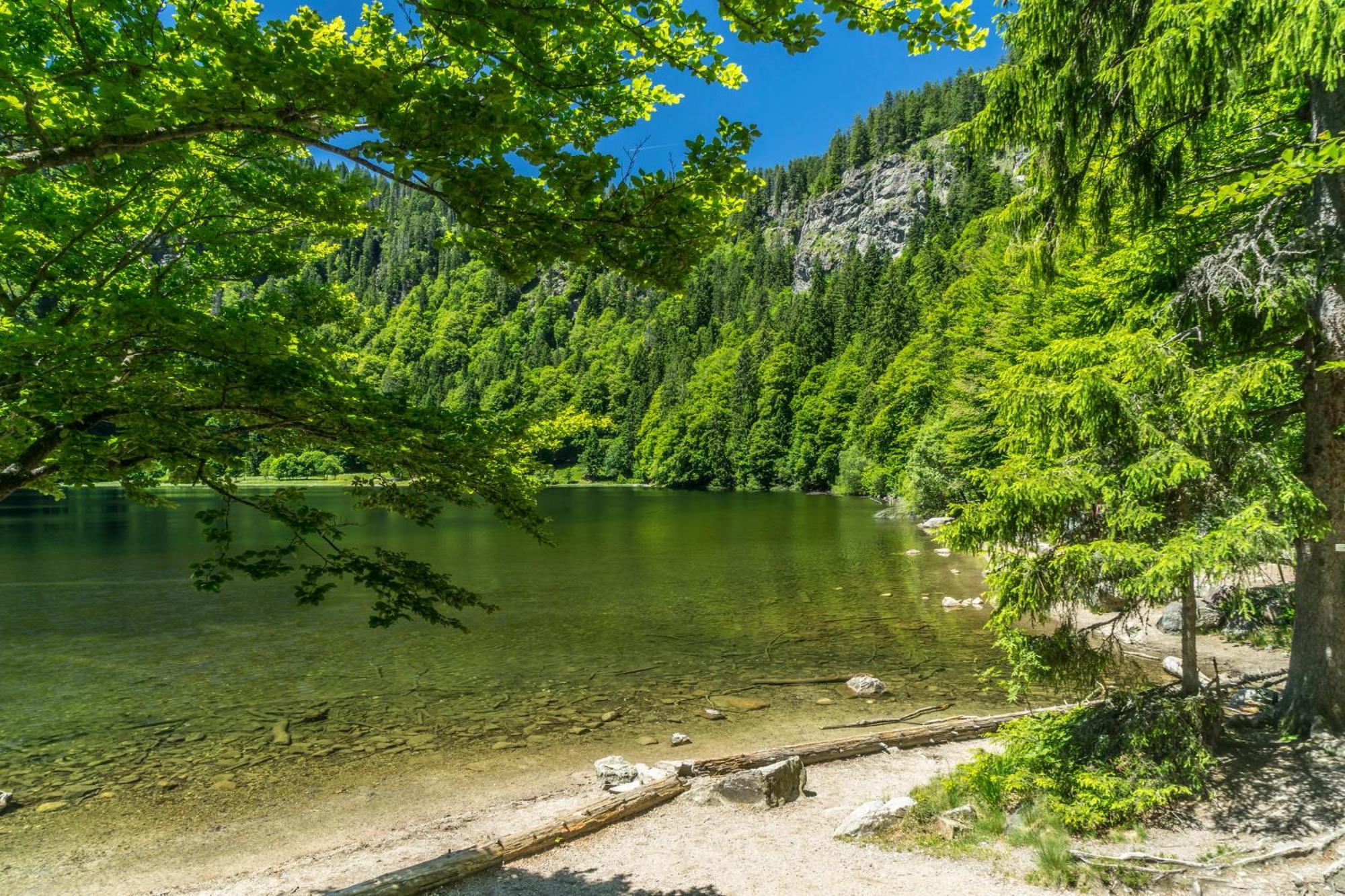 Ferienhaus Schwarzwaldstern, Todtnau, 3 Schlafzimmer ภายนอก รูปภาพ