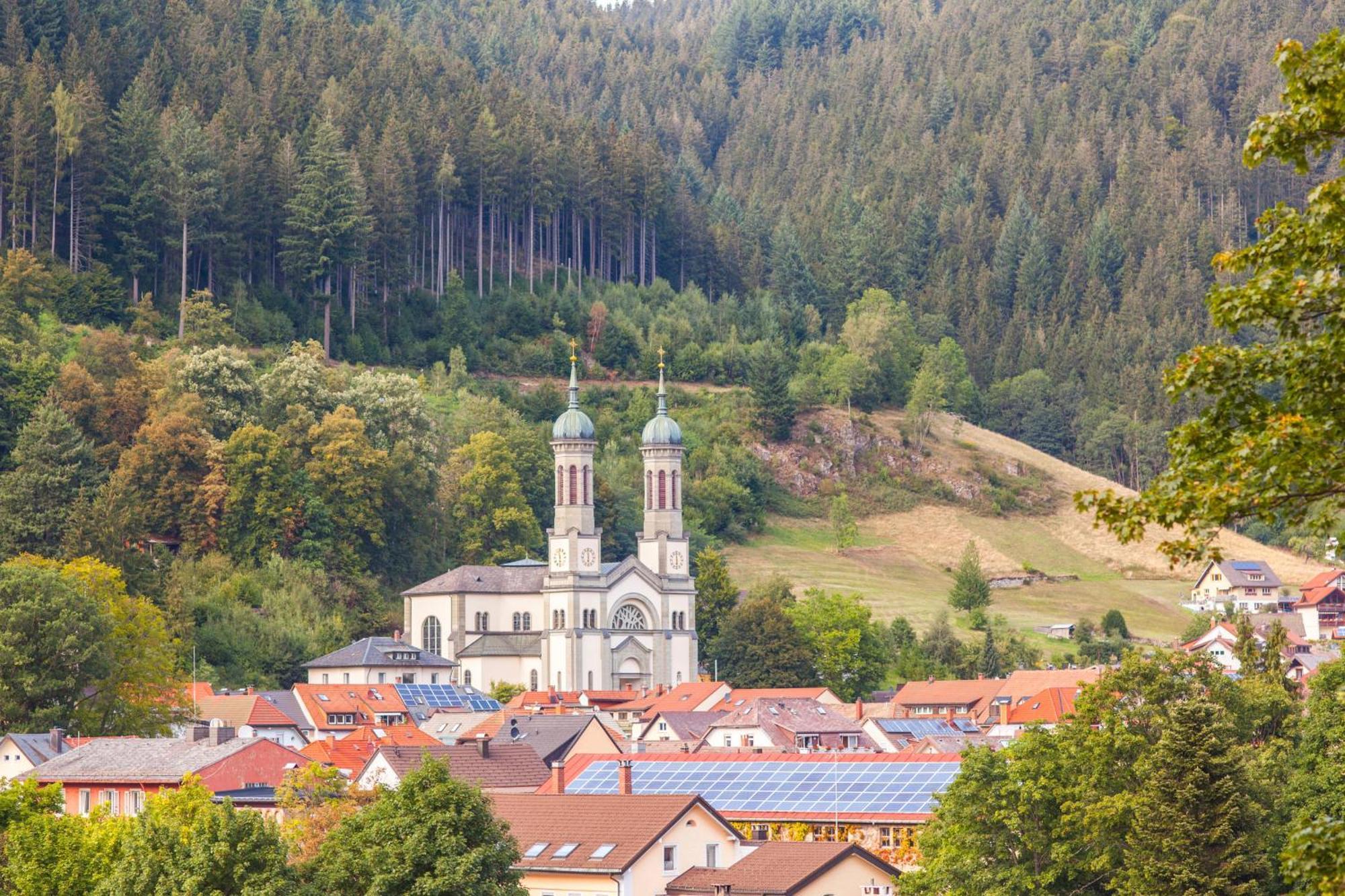 Ferienhaus Schwarzwaldstern, Todtnau, 3 Schlafzimmer ภายนอก รูปภาพ