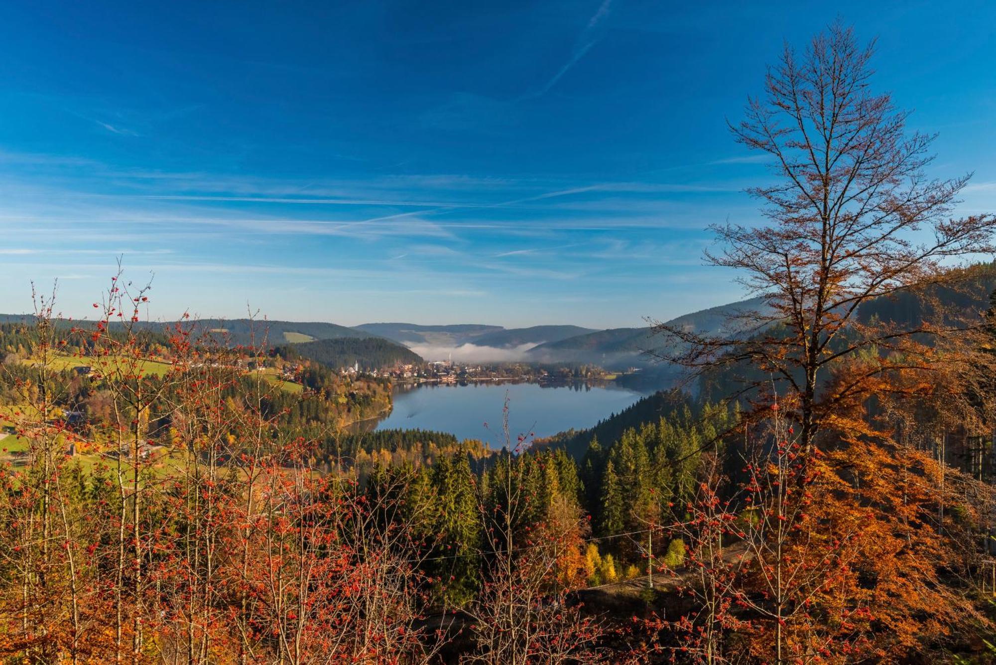 Ferienhaus Schwarzwaldstern, Todtnau, 3 Schlafzimmer ภายนอก รูปภาพ